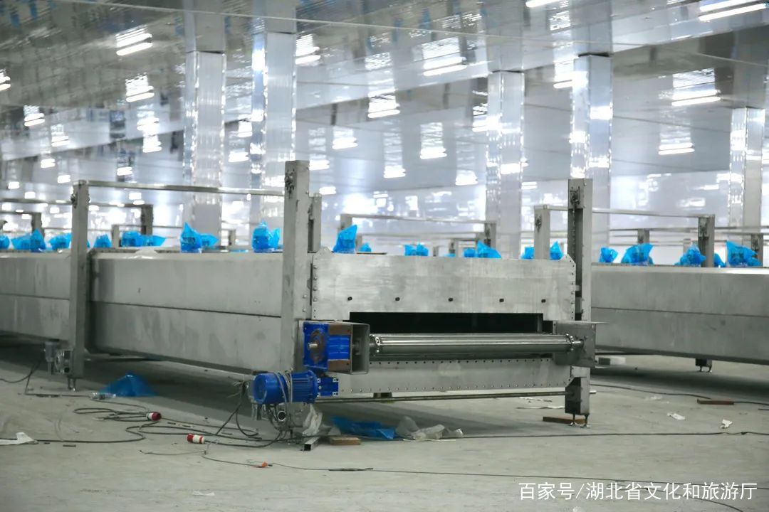 kaiyun集团：抓好发展“牛鼻子” 推动项目“虎年红”